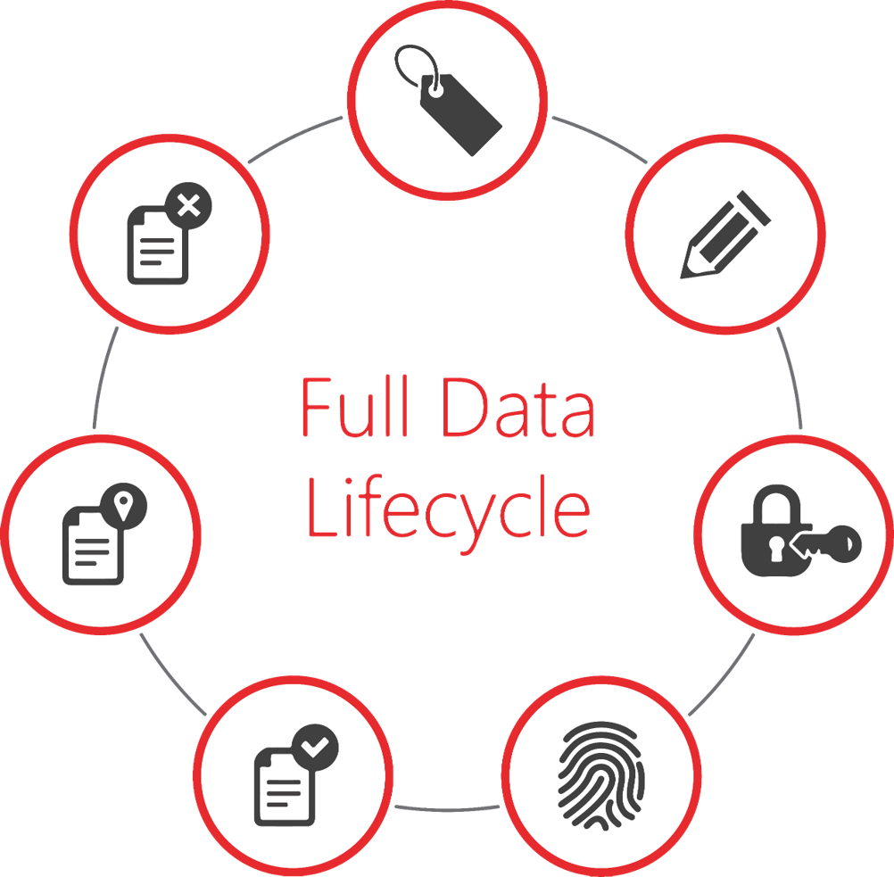 Kreisförmige Darstellung des vollständigen Datenlebenszyklus im Rahmen des Schutzes vertraulicher Daten.