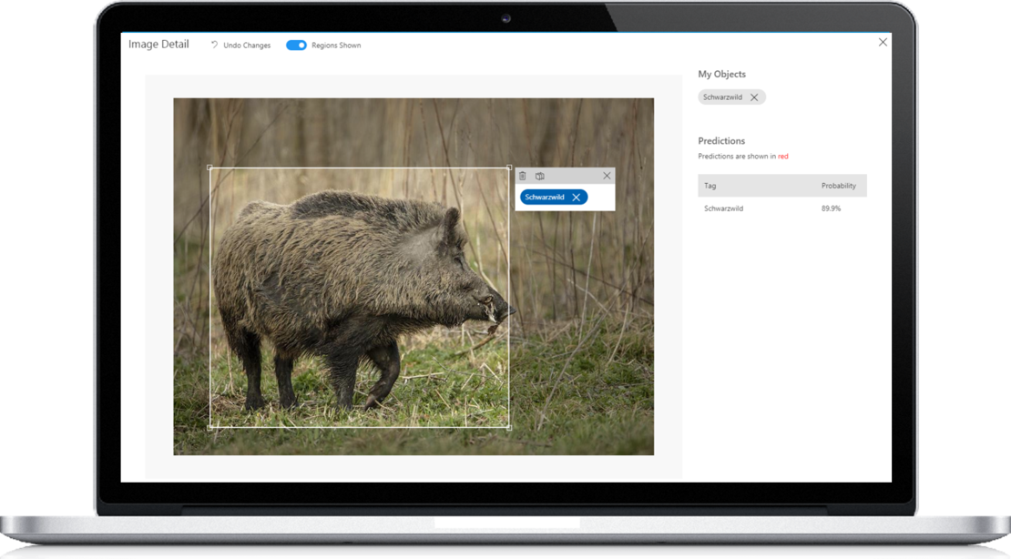 Screenshot der Tagging-Funktion der Bildanalysesoftware am Beispiel eines Fotos von einem Wildschwein, das als Schwarzwild getaggt wird