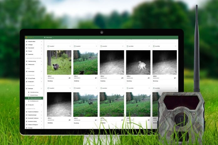 Screenshot der Bildanalysesoftware auf einem Computer im Gras mit WalkieTalkie im Vordergrund