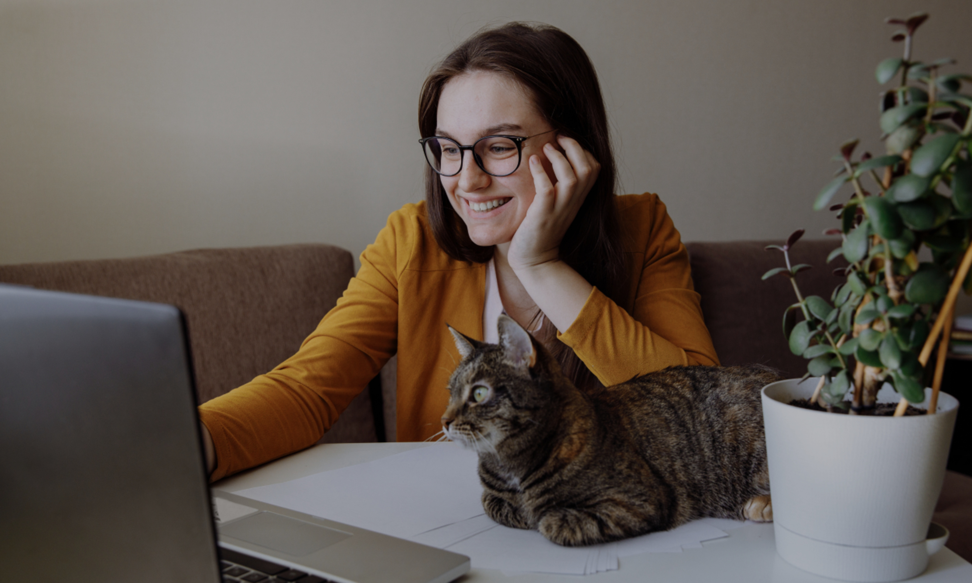 Remote work. The girl is sitting at the computer and looks at screen. A tabby cat sits next to me and also looks at screen. On a white table is a potted flower. A person sincerely smiles at someone. 